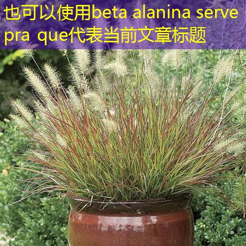 beta alanina serve pra que beta alanina serve pra que